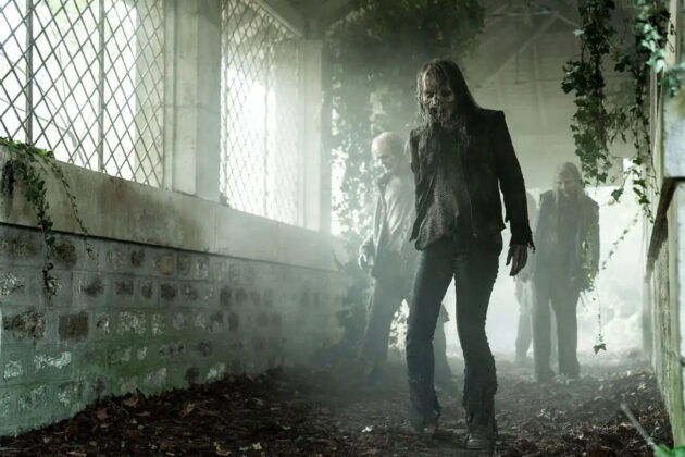 the-walking-dead-spin-off-daryl-dixon