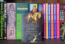 Resenha | O Último Desejo – The Witcher Vol.01