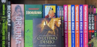 Resenha | O Último Desejo – The Witcher Vol.01