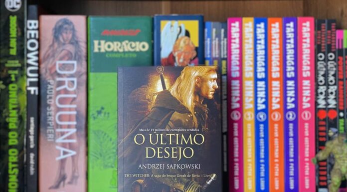 Resenha | O Último Desejo – The Witcher Vol.01
